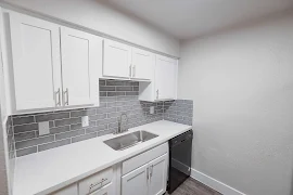 Kitchen sink area with stainless steel sink, white cabinets, and dishwasher