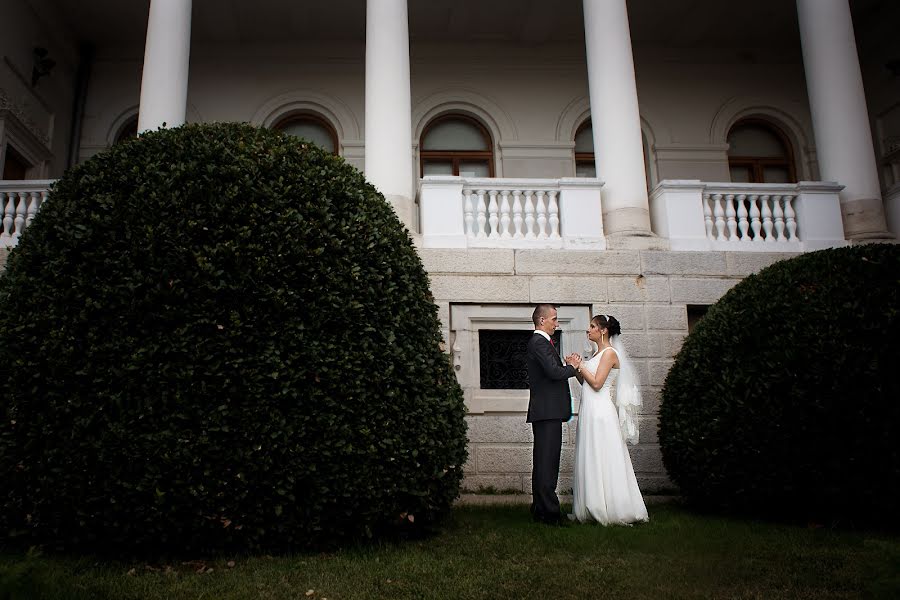 Fotografo di matrimoni Svetlana Shevchuk (telhar). Foto del 10 ottobre 2016