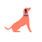 Item logo image for SearchKibble - feed dogs with every search