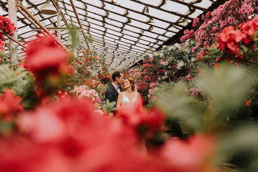 Wedding photographer Anastasiya Kovtun (akovtun). Photo of 28 March 2017