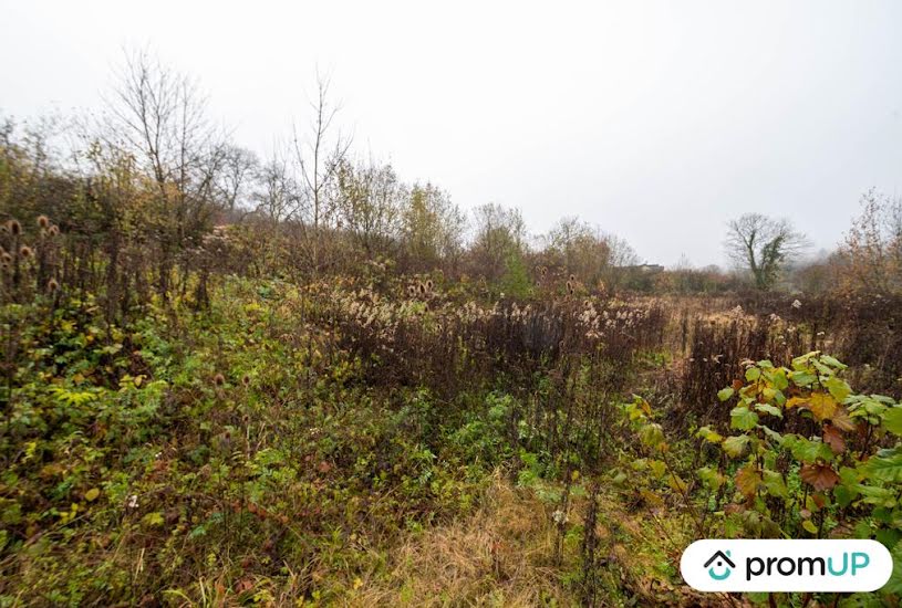  Vente Terrain à bâtir - 4 335m² à Haraucourt (08450) 