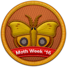 Moth Week 2016