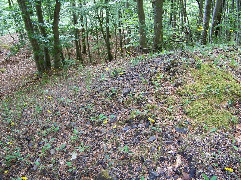 Mine de charbon de Valbonnais