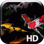 Koi Fish Live Wallpaper Apk