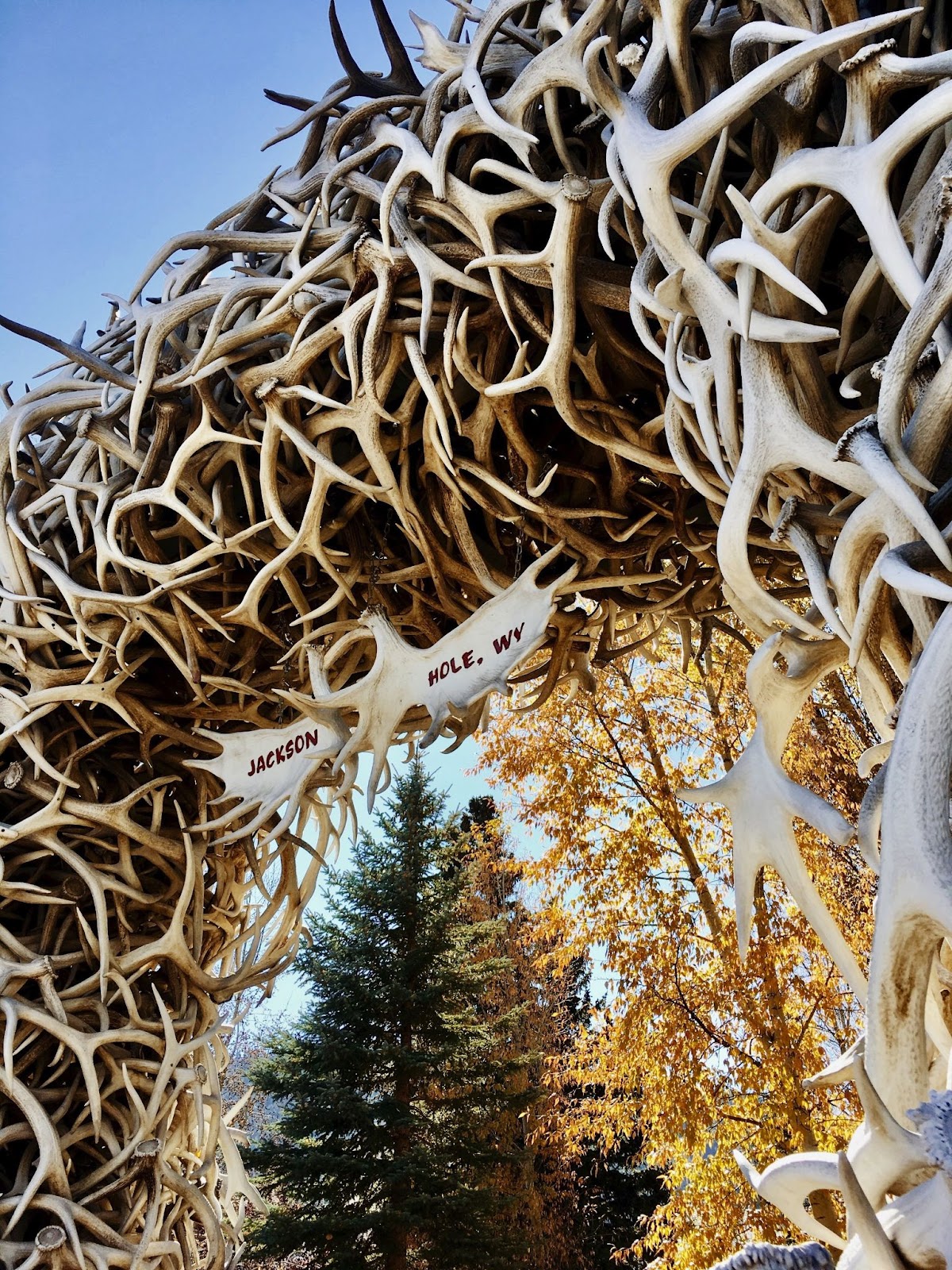 Jackson hole, Wyoming during Christmas