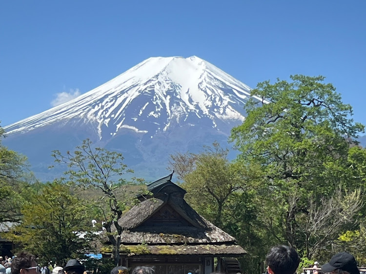 の投稿画像4枚目