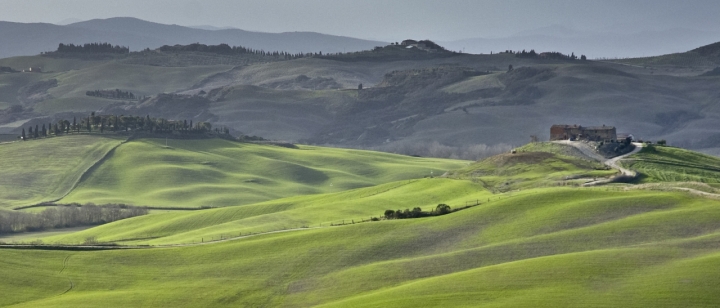 Dominando il grano di marco pardi photo