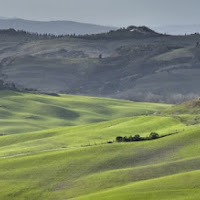 Dominando il grano di 