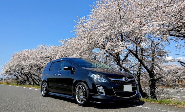 MPVのサクラと愛車・桜とコラボ・桜・MPV LY3Pに関するカスタム事例の投稿画像1枚目