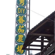 金勇DIY休閒農場