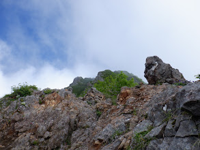 山頂付近が見えてきた