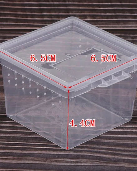 10x Feeding Box Reptile Cage Hatching Container Rearing T... - 2