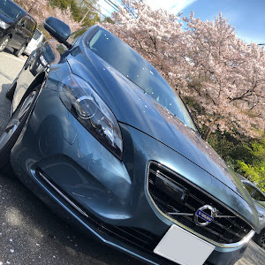 V40