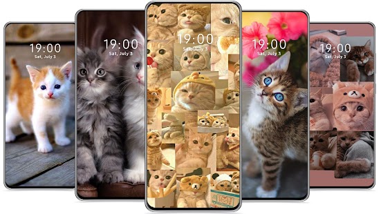 200+] Cute Cat Aesthetic Wallpapers