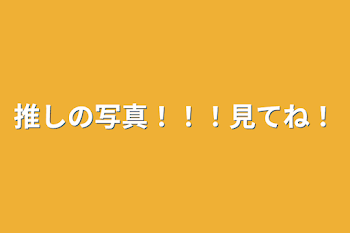 「推しの写真！！！見てね！」のメインビジュアル