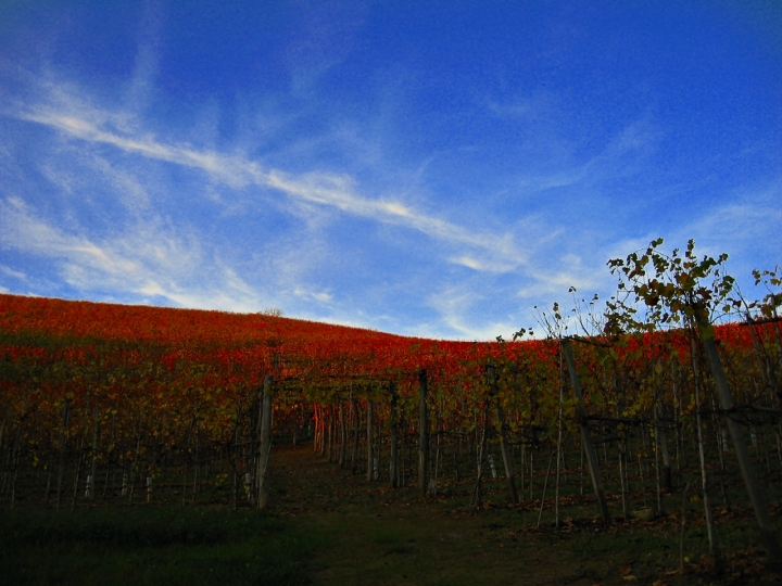 I COLORI D OTTOBRE di lonni