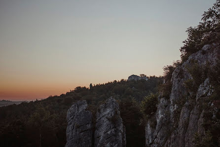 Vestuvių fotografas Dariusz Golik (golik). Nuotrauka 2018 rugpjūčio 26