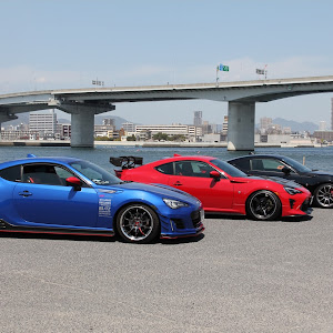 BRZ ZC6