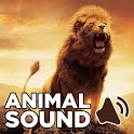 Animal Sound for Kids icon