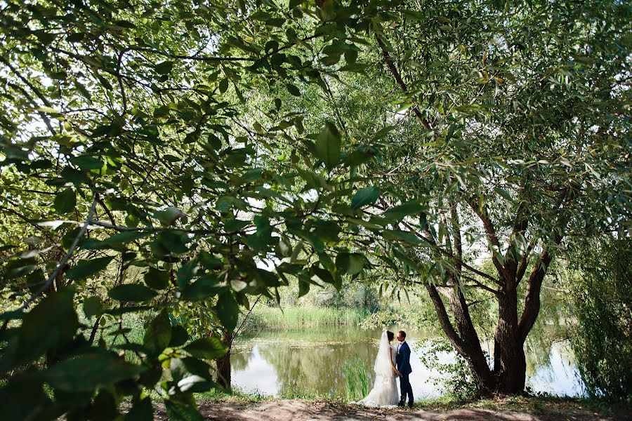 Fotografo di matrimoni Vladislav Malinkin (malinkin). Foto del 12 dicembre 2017