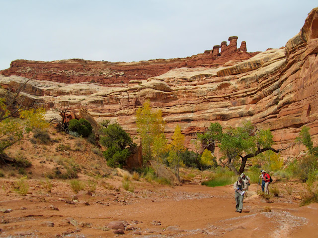 The group below Brimhall Point