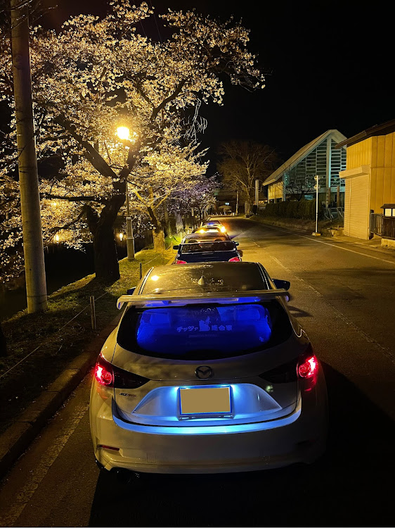 MR2の桜～🎵・黄色大好きおじさん・プチオフ・撮影会に関するカスタム事例の投稿画像4枚目