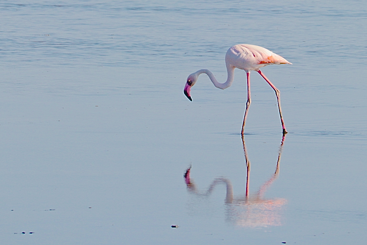 Saline di Cervia di ELISABETTA84