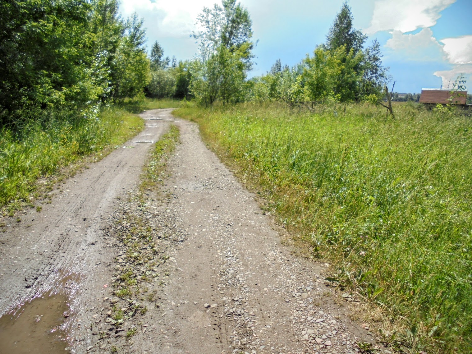 Деревня красная Кемерово. Деревня Томь завод. Деревня красная Кемерово фото. Деревня красные Орлы Кемеровская область.