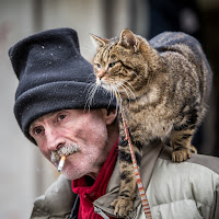 Un'amicizia armoniosa di 