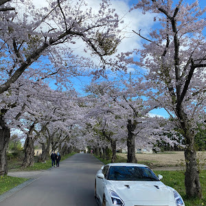 NISSAN GT-R R35