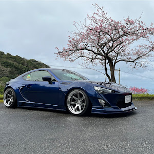 BRZ ZC6