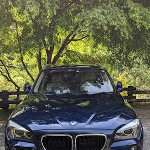 X1 xDrive 20i