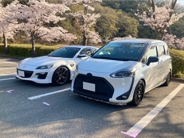 シエンタの桜とコラボ・サクラと愛車・桜・エイプリルフール・4月もよろしくお願いしますに関するカスタム事例の投稿画像5枚目