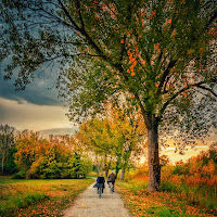 Amore eterno tra le foglie d' autunno di 