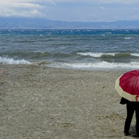 Mare mosso di 