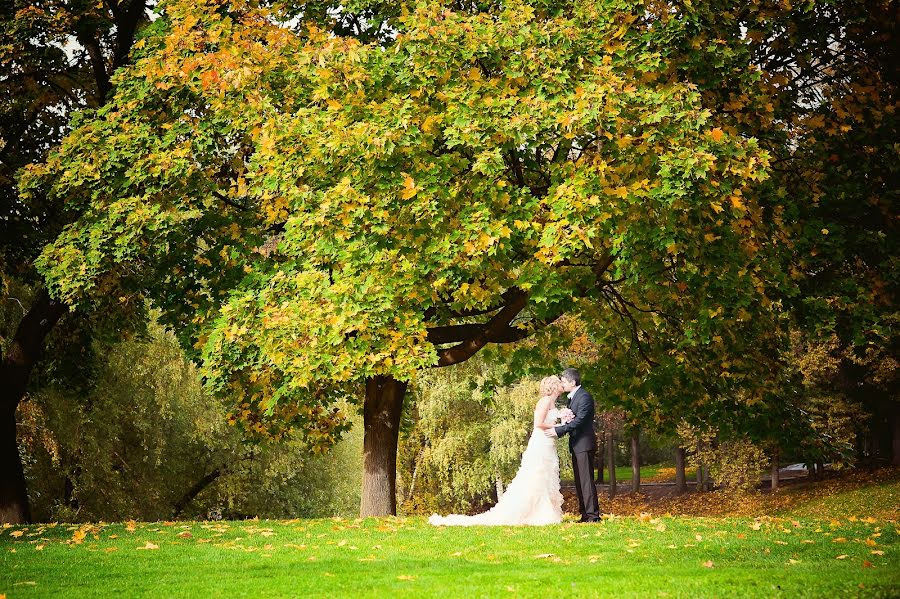 Wedding photographer Elena Novozhilova (enphoto). Photo of 13 January 2014