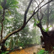 雲的故鄉景觀餐廳