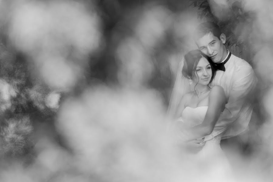 Wedding photographer Sergii Krushko (krushko). Photo of 5 June 2014