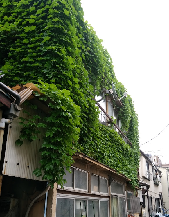 けんいち さんが投稿した下町探索・ベーゴマ・ノスタルジック建物に関するカスタム事例の投稿画像4枚目