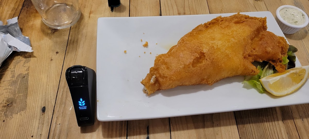 Gluten-Free at Hobson's Fish & Chips