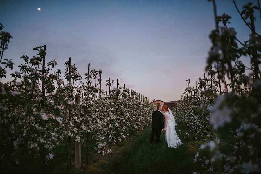 Hochzeitsfotograf Damian Niedźwiedź (inspiration). Foto vom 1. Mai 2018