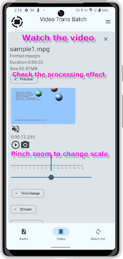 Screenshot Video Trans Batch