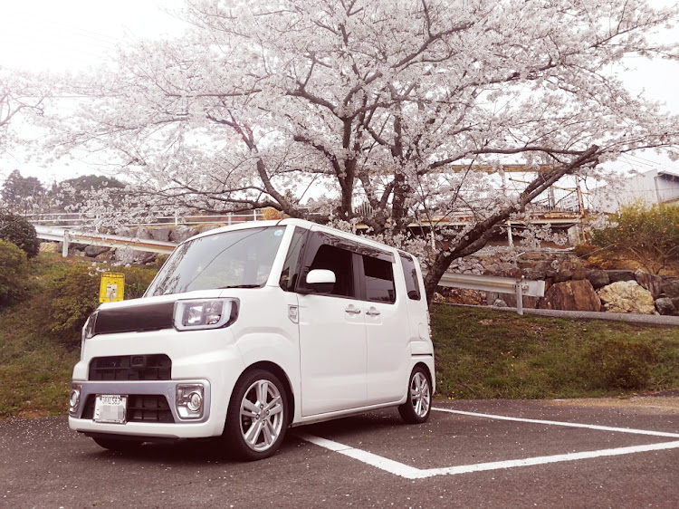 ウェイクのドライブ・桜に関するカスタム事例の投稿画像1枚目