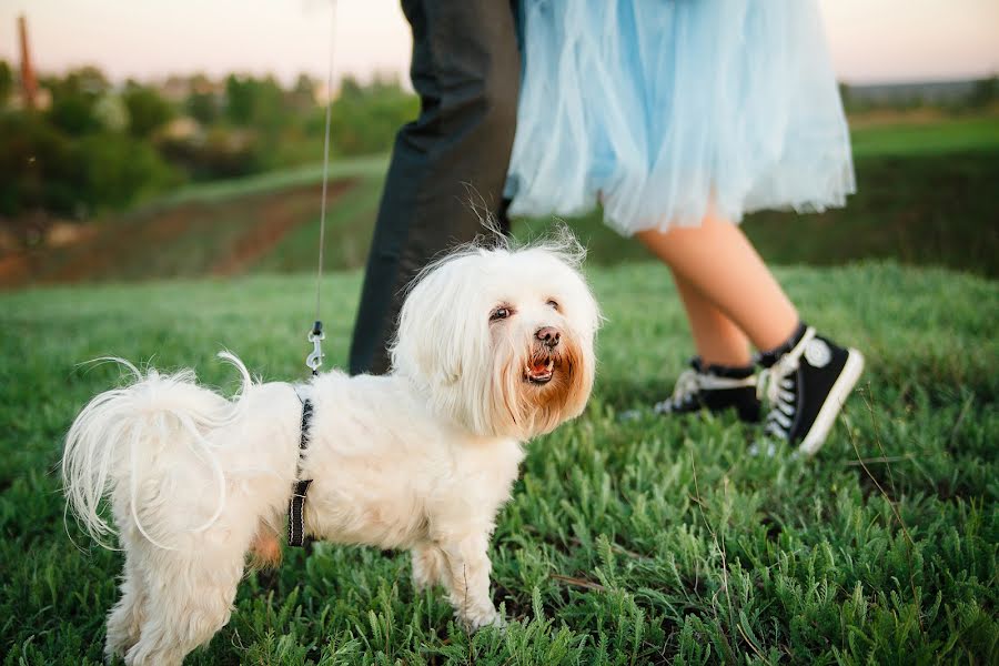 Wedding photographer Karіna Natkіna (natkina). Photo of 9 June 2018