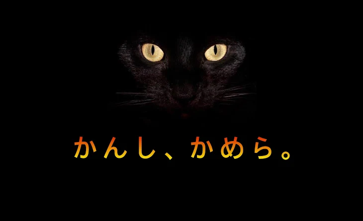 「かんし、かめら。」のメインビジュアル