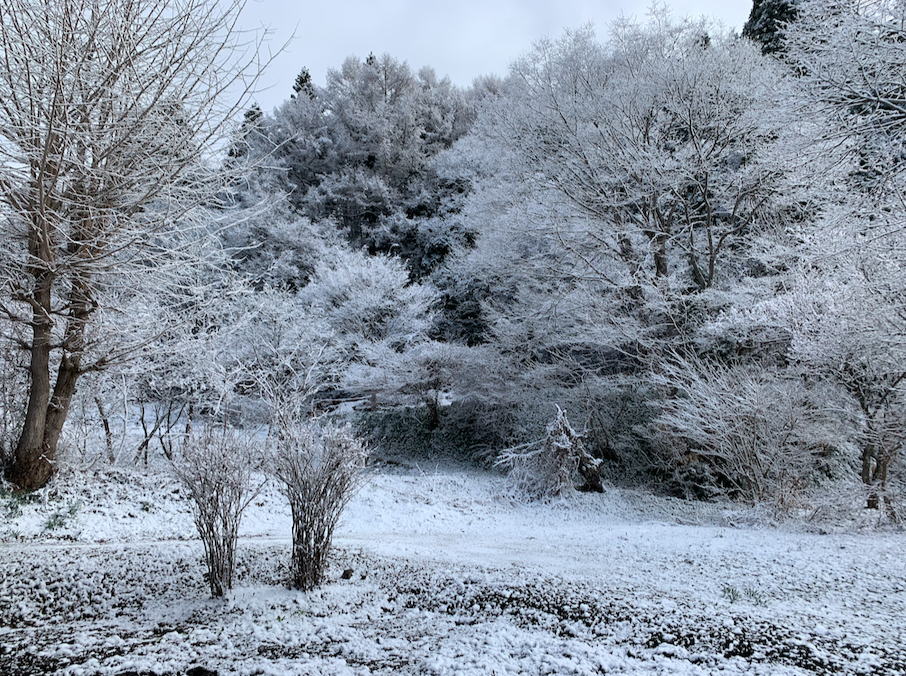 4月10日信濃町でまだ雪が降る