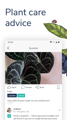 Candide – inspiration for plant lovers everywhere