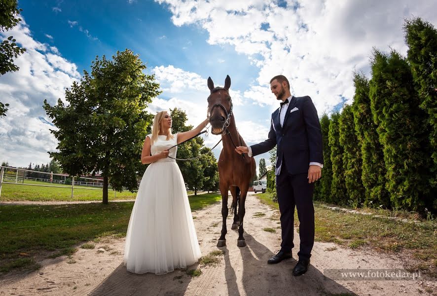 Bryllupsfotograf Radoslaw Żyto (radekzyto). Bilde av 24 februar 2020