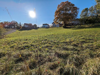 terrain à Grande-Rivière (39)