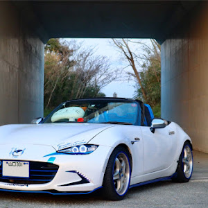ロードスター ND5RC